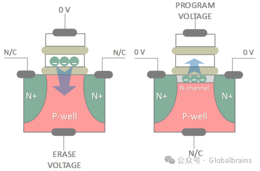 Understanding the Underlying Principles of NAND Flash