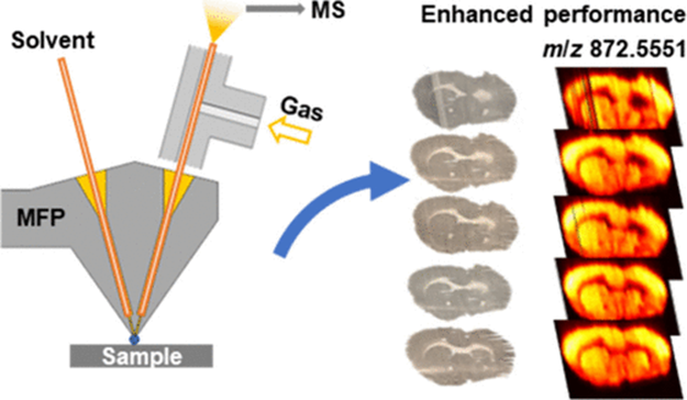 Literature Sharing | J. Am. Soc. Mass Spectrom | Pneumatically Assisted Microfluidic Probe for Enhanced Mass Spectrometry Imaging Performance