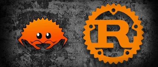 Is Rust Worth Investing in as a Skill Like Retirement Insurance?