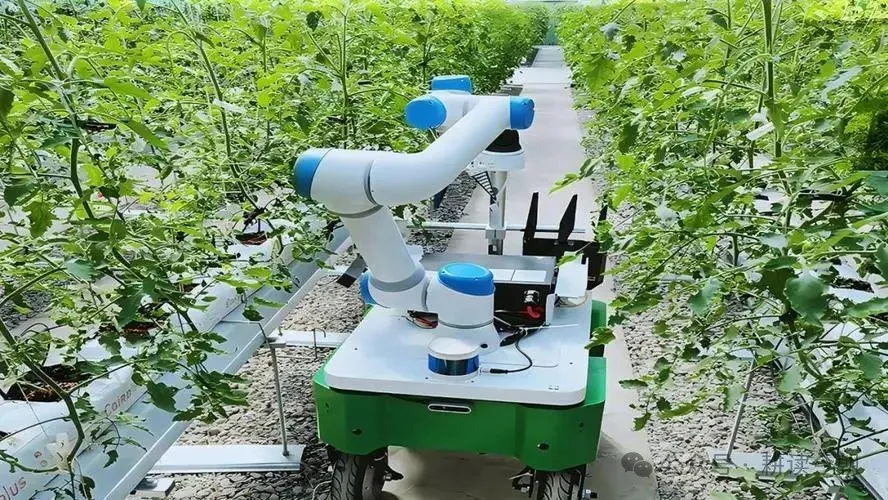A Comprehensive Overview of Agricultural Robot Development Worldwide