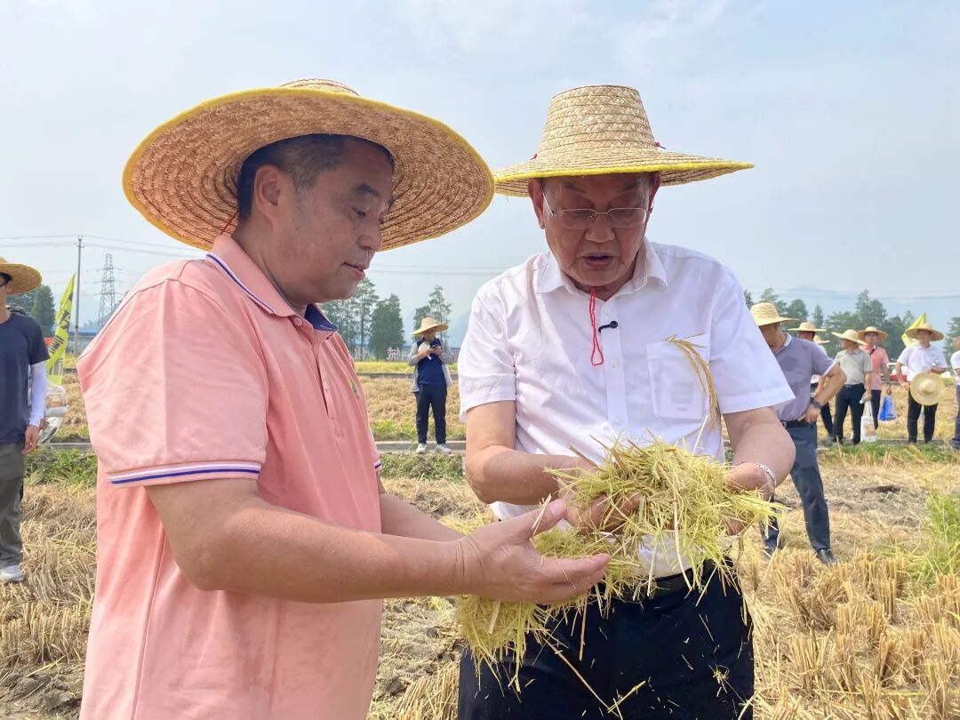 New Farmer Yu Yiyao: Injecting 'Smart Chips' into Modern Agriculture in Fengkai