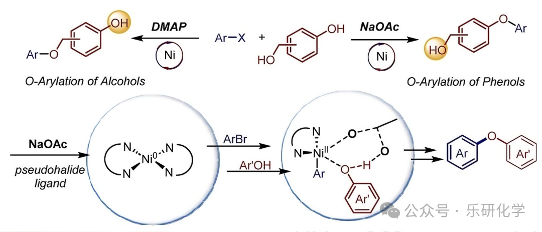 Electrochemical Selective C-O Coupling via Base Replacement