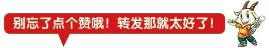 Shenzhen 3D Printing Exhibition Focuses on Innovation in the Footwear Industry, Guangdong Footwear Manufacturers Association Promotes 3D Printed Shoe Standards