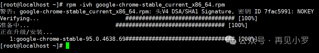 Installing Google Chrome on Linux x86 Architecture System
