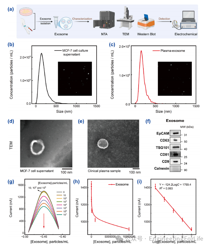 Exosome Aptamer Sensors for Staging Breast Cancer