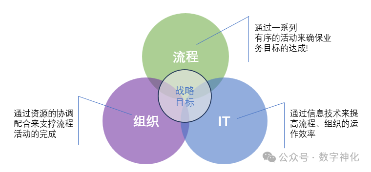 Processes and IT: The Dual Management System of Modern Organizations