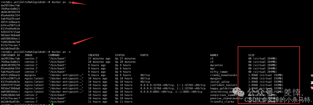 Mastering Docker End-to-End: Container Management, Nginx Homepage Customization, BusyBox Tool Practice, and Tencent Cloud Repository Deployment