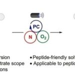 Photocatalytic Indole Ring 'Editing' to Quinazoline for Tryptophan Site-Specific Peptide Modification
