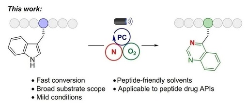Photocatalytic Indole Ring 'Editing' to Quinazoline for Tryptophan Site-Specific Peptide Modification