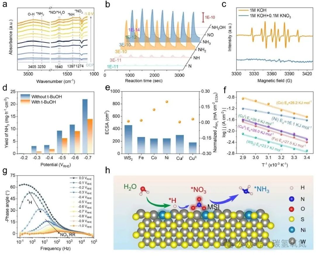 Metal-Support Interaction Breakthrough: Ni-WS₂ Nanosheet Catalyzes Nitrate Electroreduction with Ammonia Yield Exceeding 23 mgh⁻¹cm⁻²