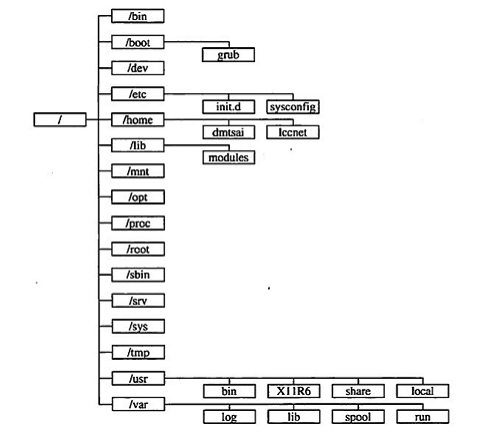 Understanding the Linux Directory Structure (Linux File System Structure)