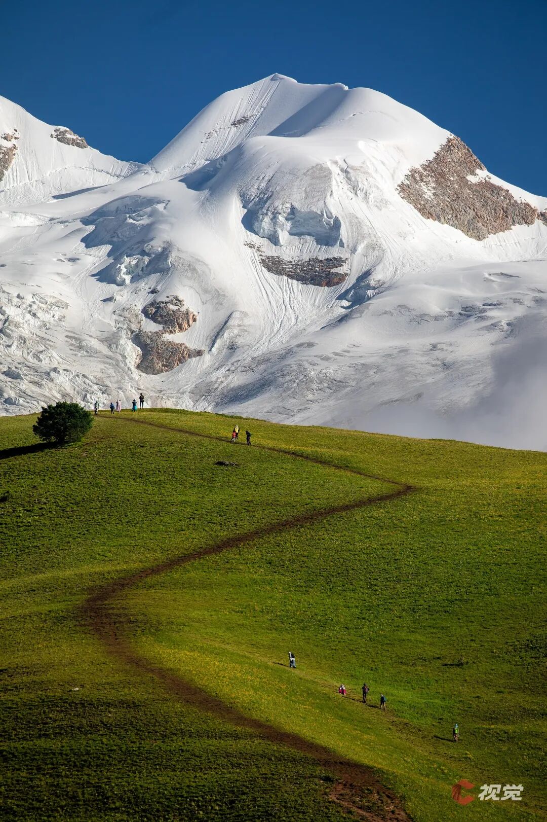 C Vision: A Glimpse of the Snow Mountain (50) | The Intertwining of Snow Mountain and Prairie Flower Sea - The Travel Guide to 'Little Switzerland' in Western Sichuan