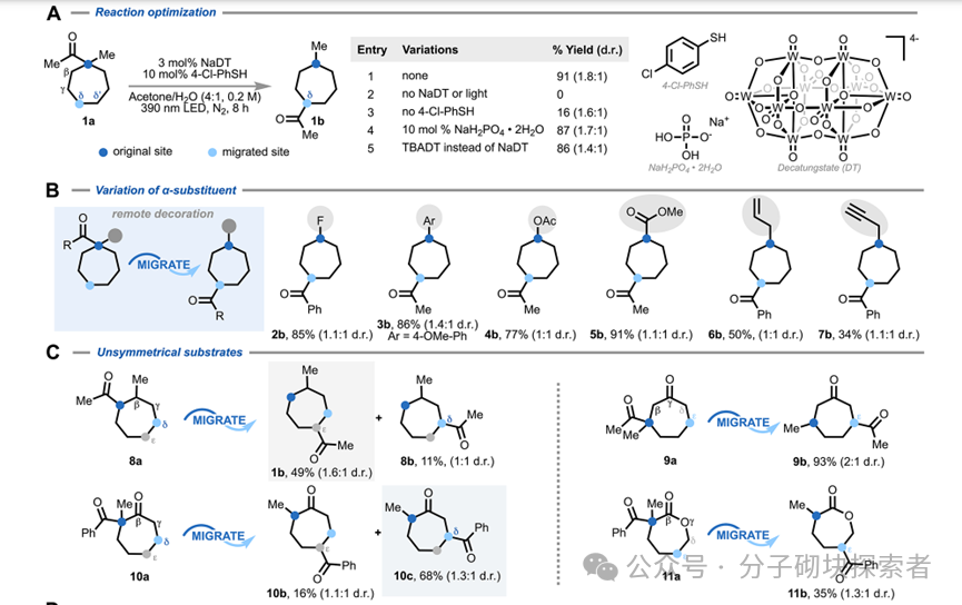 The Elusive Seven-Membered Ring Tamed! A New Photocatalytic Strategy Achieves Site-Selective Modification