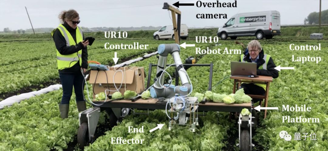 A 50-Year-Old Man Returns to Cambridge for an AI PhD, Developing a Robot to Harvest Lettuce Using AI