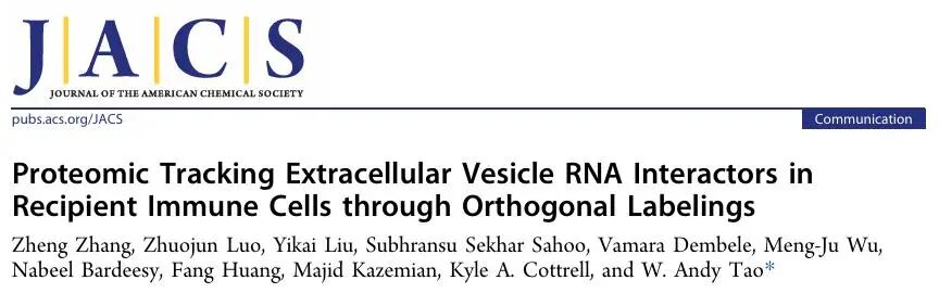 Proteomic Tracking of Extracellular Vesicle RNA Interactors in Recipient Immune Cells through Orthogonal Labelings
