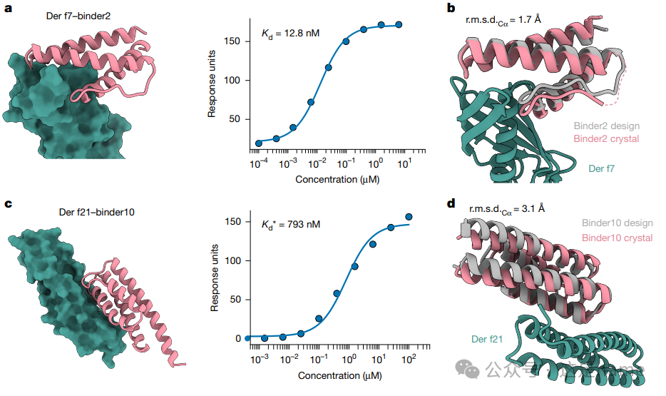 BindCraft: A One-Shot Protein Design Tool for Functional Protein Binders (Nature 2025)