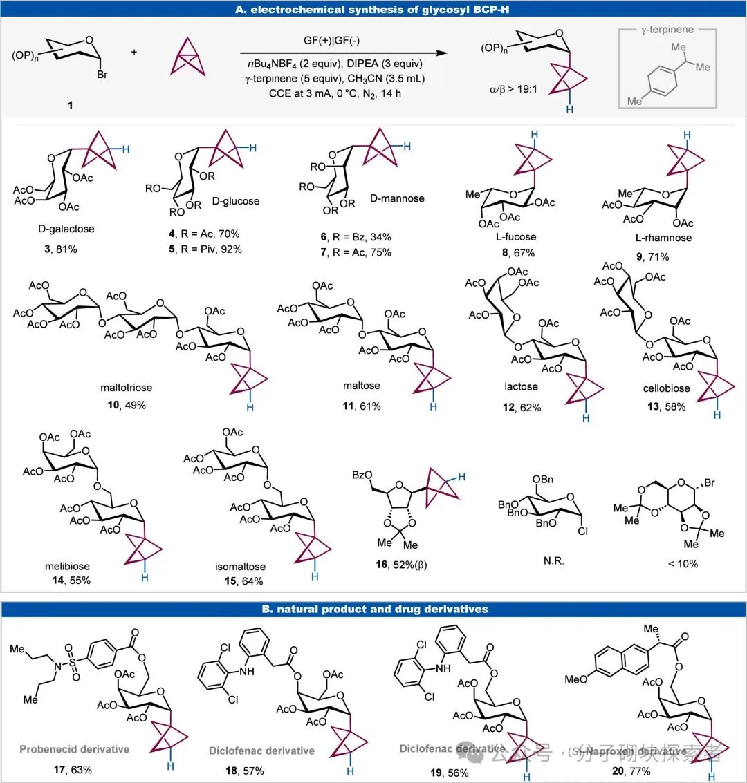 Unlocking Chemical Space: Electrochemically Driven Synthesis of Glycosyl Bicyclo[1.1.1]pentane Frameworks