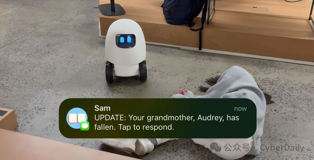 18-Year-Old Girl Creates AI Robot Companion for the Elderly, Sold Out Immediately