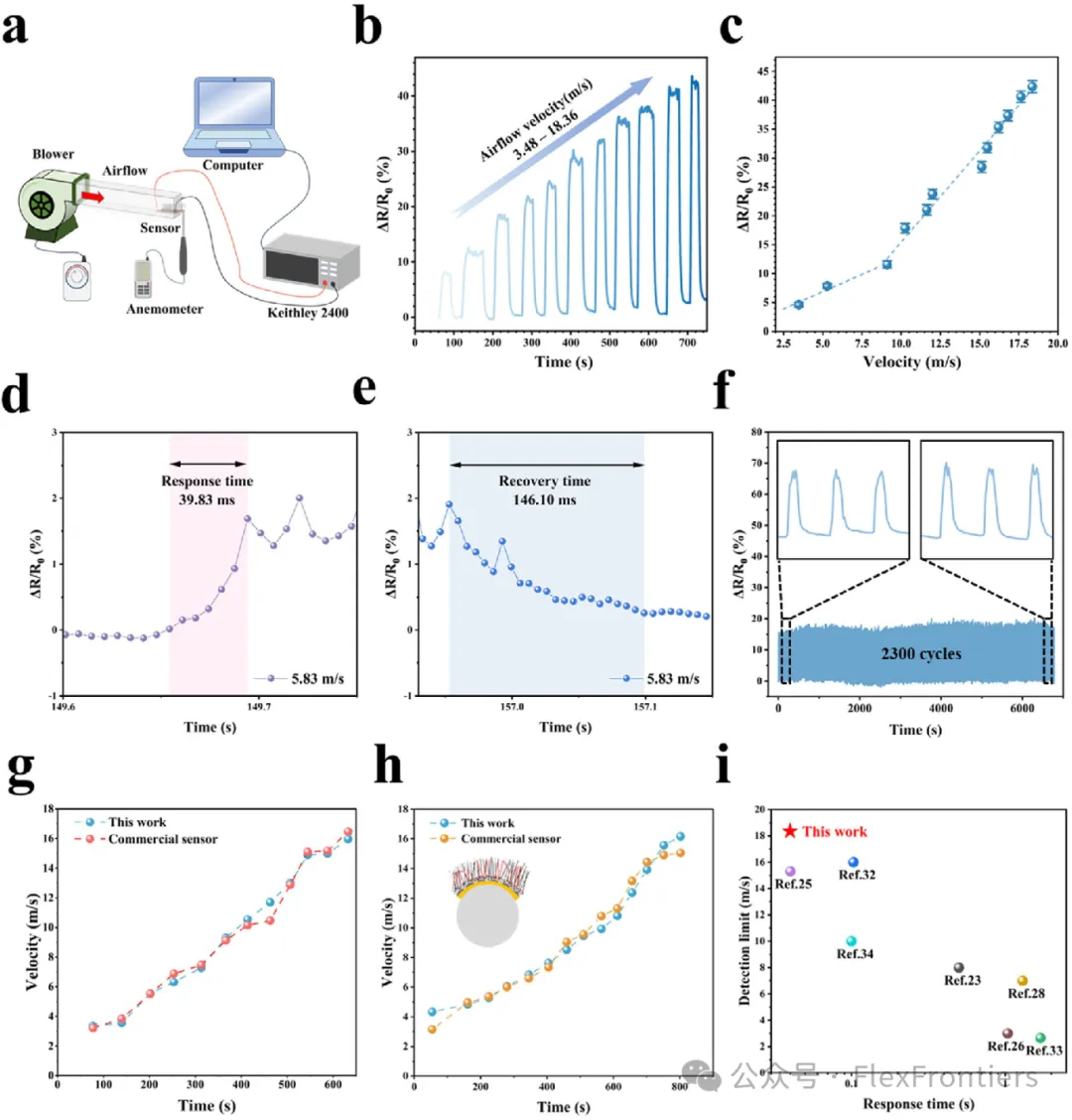 Bionic 'Electronic Hair': High-Sensitivity Flexible Airflow Sensor for Large-Area Sensing