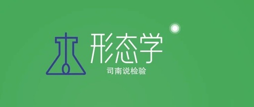 Morphology 127: Urine - Granular Casts (Instrument-Assisted Diagnosis)