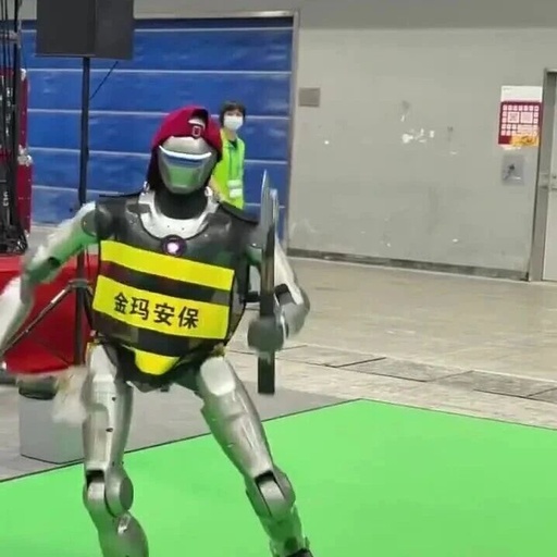 The Birth of Security Robots: Targeting Robotic Street Thieves