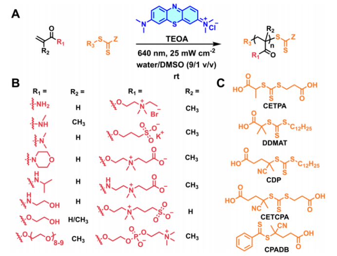 Red Light-Driven, Oxygen-Tolerant RAFT Polymerization Enabled by Methylene Blue