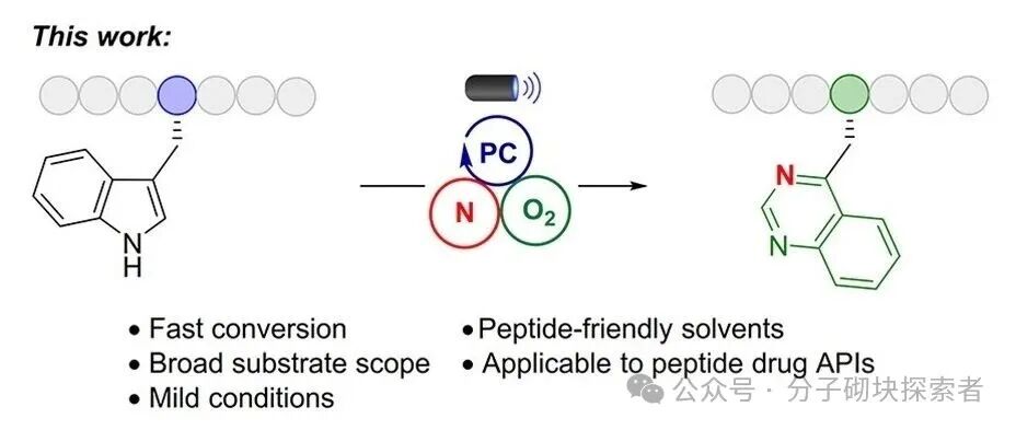 Photocatalytic Indole Ring 'Editing' to Quinazoline for Tryptophan Site-Specific Peptide Modification