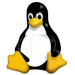 Installing Docker Environment on Linux Ubuntu Server