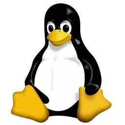 Installing Docker Environment on Linux Ubuntu Server
