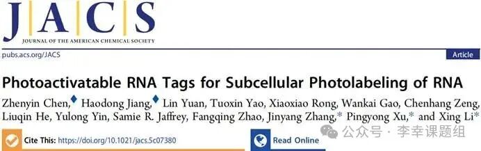 Photoactivatable RNA Tags for Subcellular Photolabeling of RNA