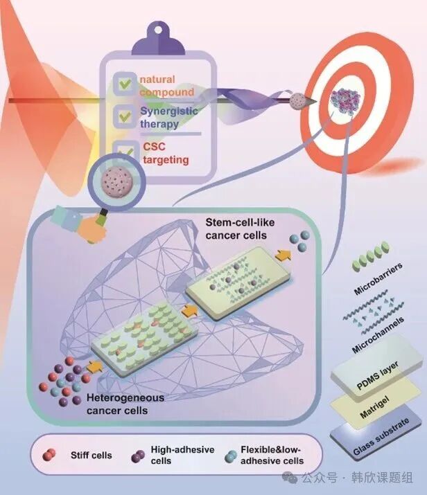 Microfluidic Chip Technology: Exploration and Practice in the Modernization of Traditional Chinese Medicine