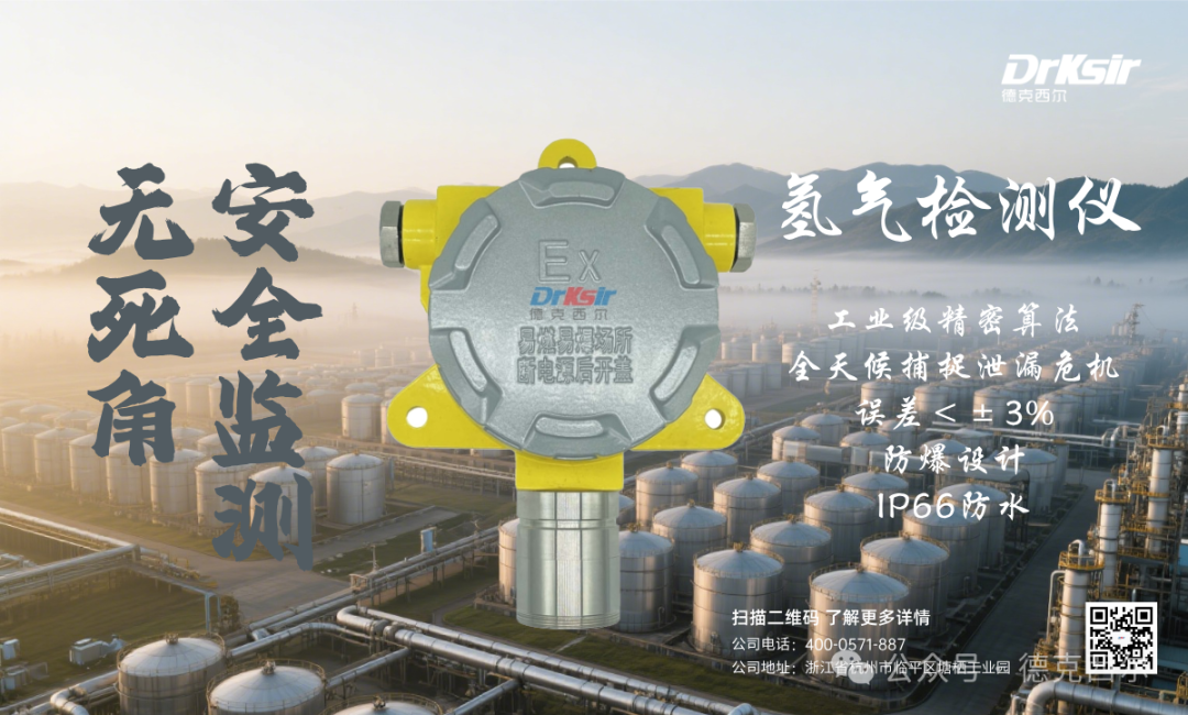 Leading Domestic Hydrogen Sensor Company