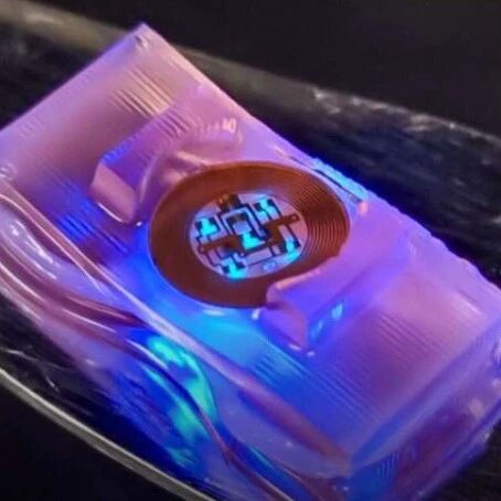 New Biohybrid Robots Controlled by Optogenetics