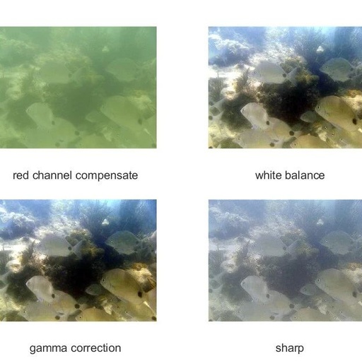 Underwater Image Fusion Enhancement with Matlab Code