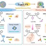 Controlled Electron Transfer: Development of Type I Photosensitizers through Energy Storage Pump Integration Strategy to Induce Long-term Tumor Immune Memory