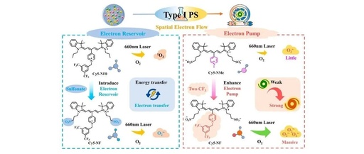 Controlled Electron Transfer: Development of Type I Photosensitizers through Energy Storage Pump Integration Strategy to Induce Long-term Tumor Immune Memory