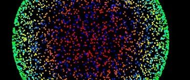 How Beginners Can Start Writing a 3D System in C++