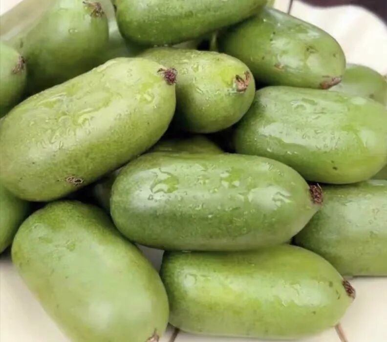 A Fruit That Looks Like Both Jujube and Cucumber, with Vitamin C Content Six Times Higher Than Oranges! This Northern Fruit is in Season and Many Haven't Seen It!