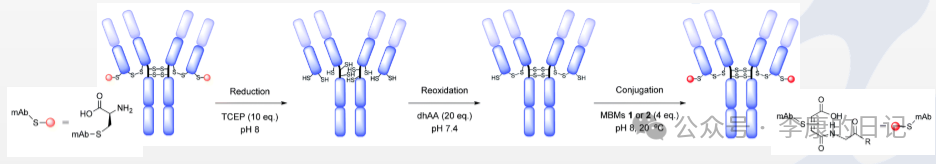 Summary and Reflections on the Application of Chemical Industry Technology 3 - ADC/XDC Conjugation (Pharmaceutical Industry)