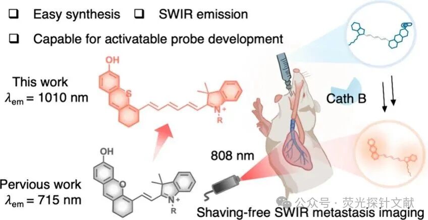 Short-Wave Infrared Semi-Cyano-6 for Cancer Activation and Non-Hairless Preclinical Imaging of Lung Metastasis