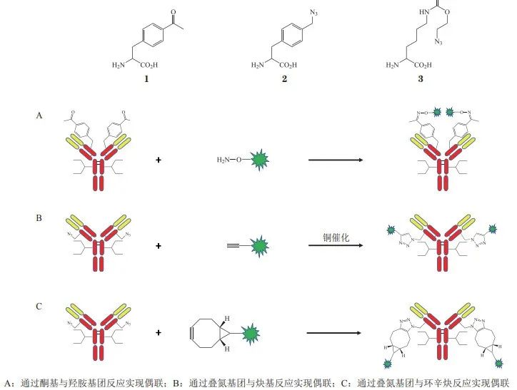 How to Apply ADC Coupling Strategies to Antibody-Conjugated LNPs?