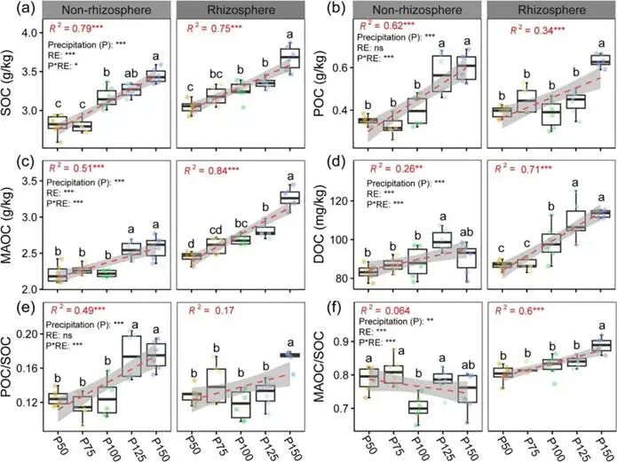 Divergent Mechanisms of Rhizosphere and Non-Rhizosphere Soil Organic Carbon Sequestration Under Precipitation Variability: Evidence from Microbial Life-History Strategies