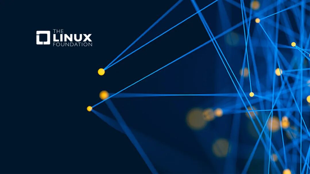 Mastering the ethtool Command: 12 Essential Uses to Eliminate Network Blind Spots