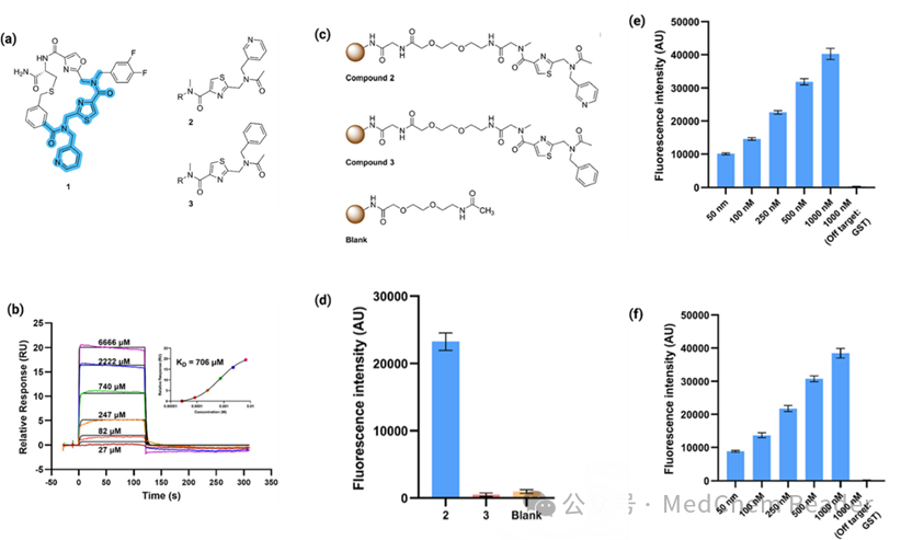 Breaking Through Device Bottlenecks: Avidity-Driven Targeted Fragment Drug Screening