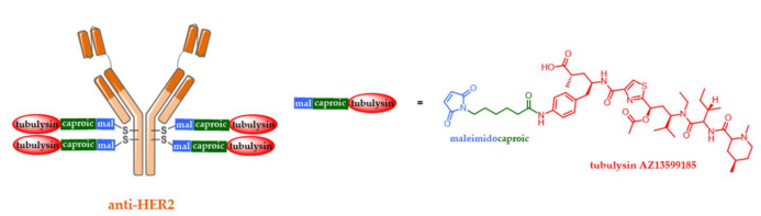 The Evolution of Antibody-Drug Conjugates (ADCs)