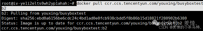 Mastering Docker End-to-End: Container Management, Nginx Homepage Customization, BusyBox Tool Practice, and Tencent Cloud Repository Deployment