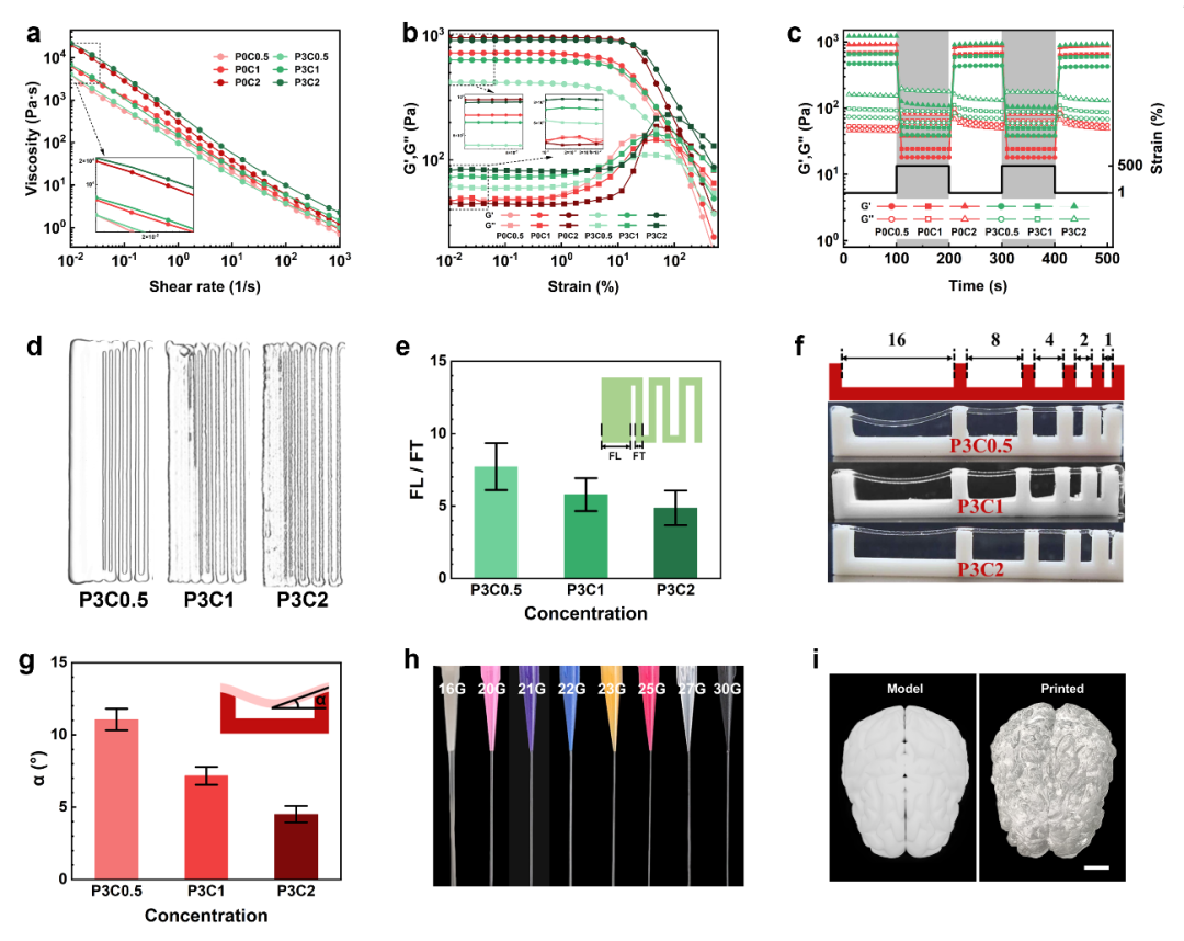 Donghua University Researcher Men Yongjun: The First 3D Printed Plant Growth Medium
