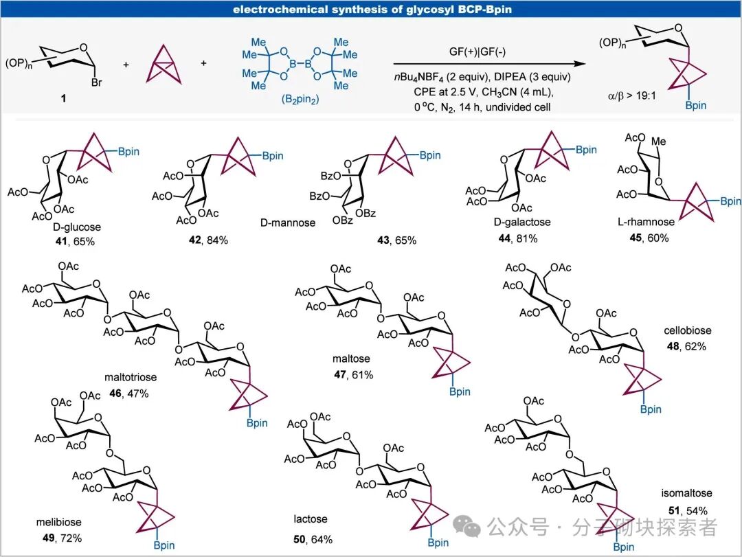Unlocking Chemical Space: Electrochemically Driven Synthesis of Glycosyl Bicyclo[1.1.1]pentane Frameworks