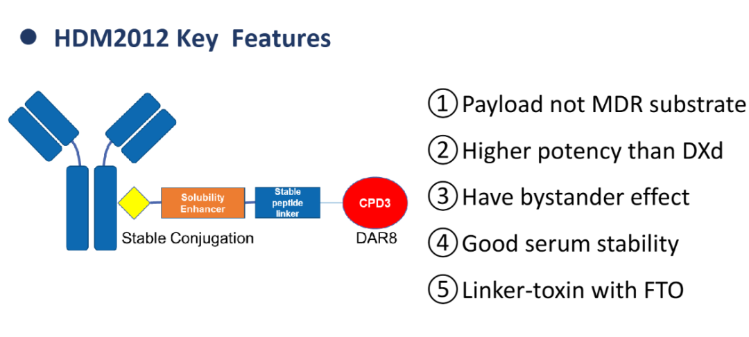 East China Pharmaceutical Launches Its Own ADC Platform