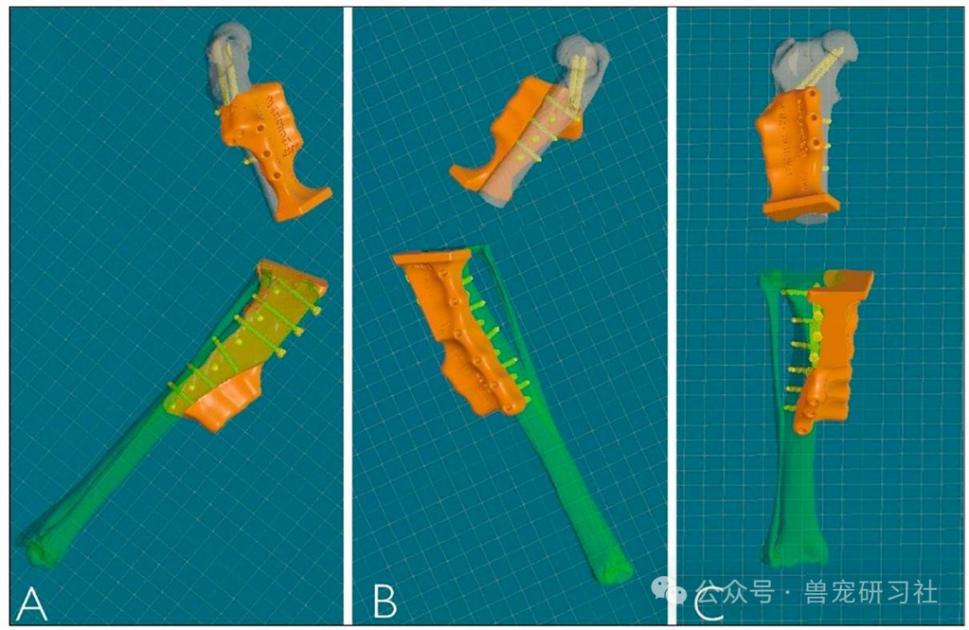 Golden Retriever Successfully Preserves Limb! 3D Printing and Precision Surgery Achieve Breakthrough in Chondrosarcoma Treatment